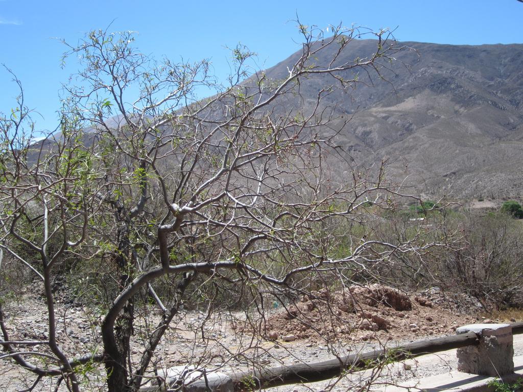 Posada Campo Morado Уакалера Экстерьер фото